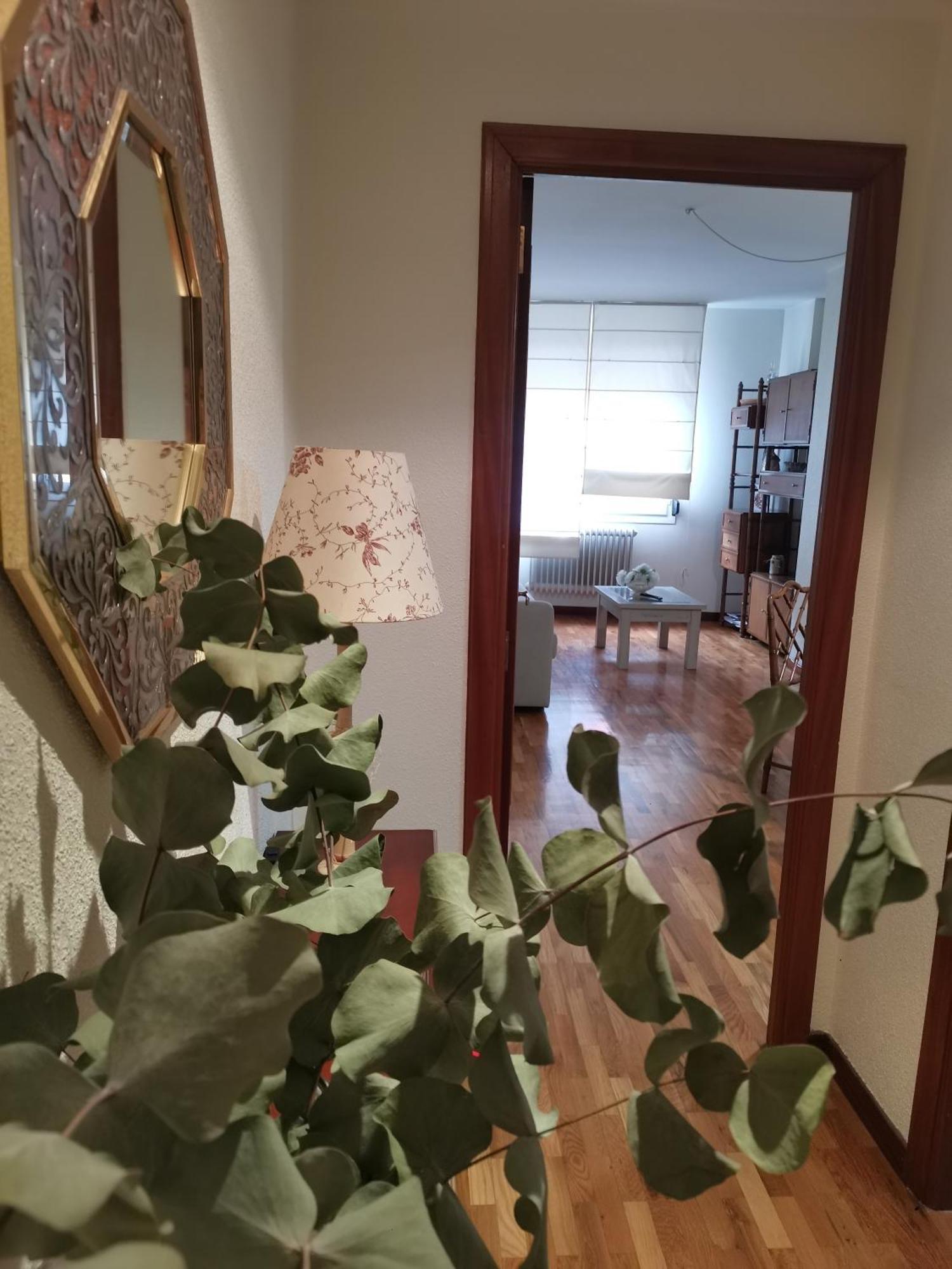 Apartamento Estriva 仕格莱 外观 照片